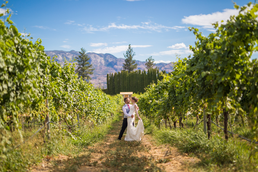 Bride and groom kiss at the nut farm, wedding in kelowna, kelowna bc, kelowna wedding photographer, amazing kelowna wedding, award winning kelowna photographers, off the grid organic winery