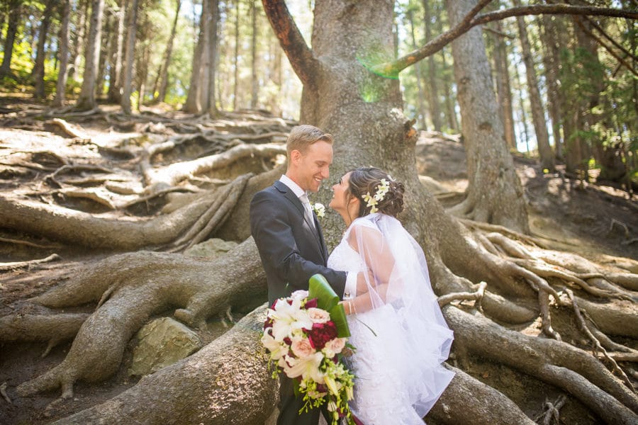 the old tree at the cochrane ranch house with a bride and groom