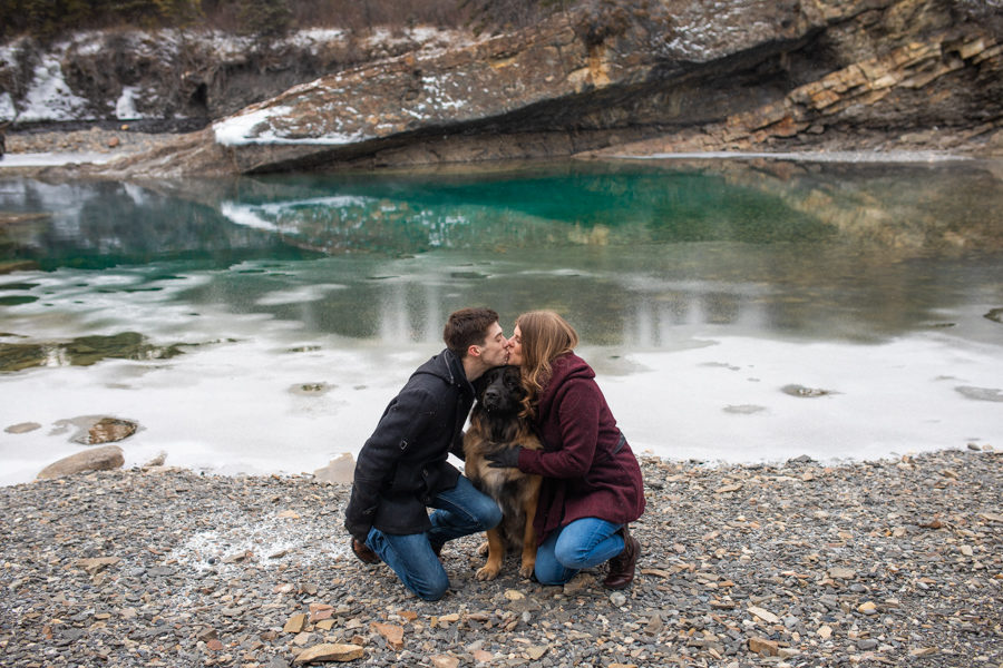 puppy engagements