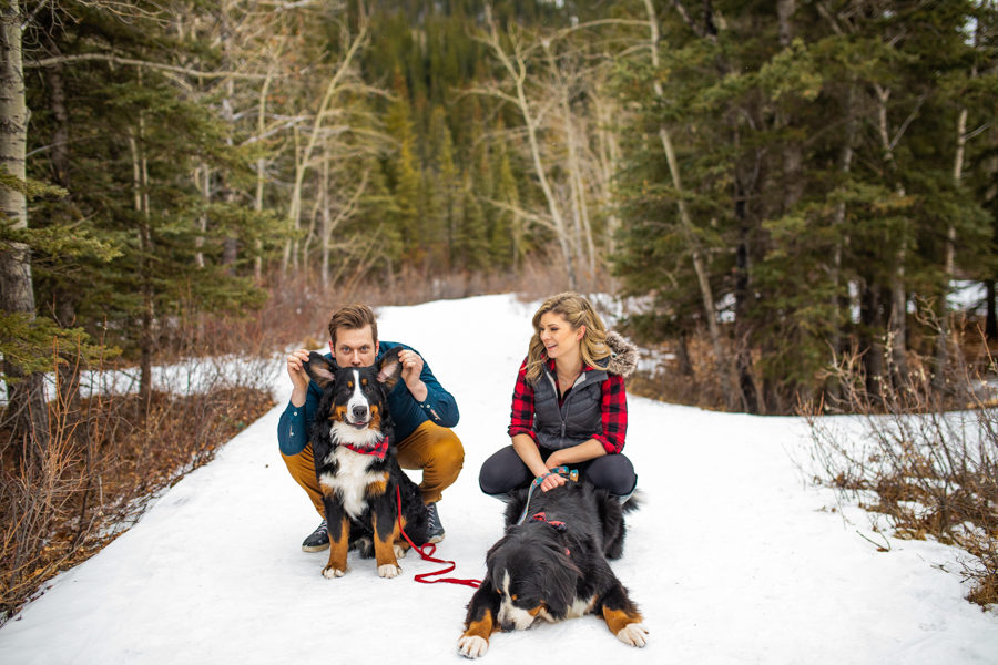 calgary puppy engagements