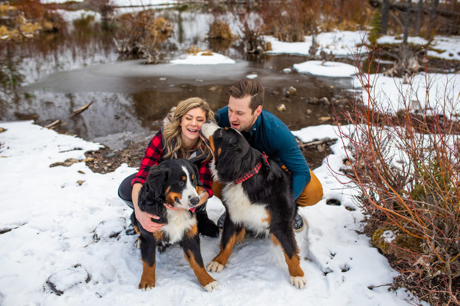 canmore engagements with dogs