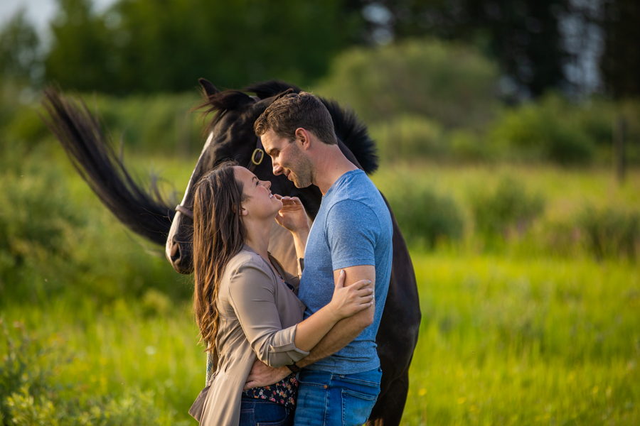 Horses at engagement photo