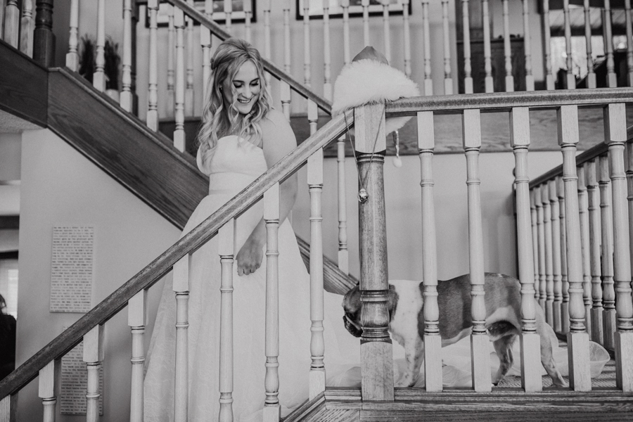 bride getting ready with her puppy